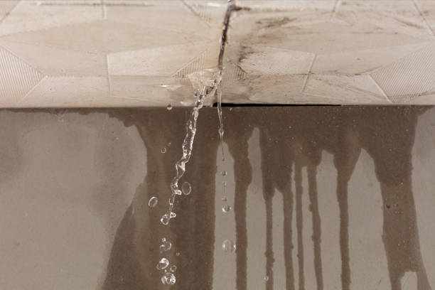 Professional Structural Drying technician working in Milano, TX